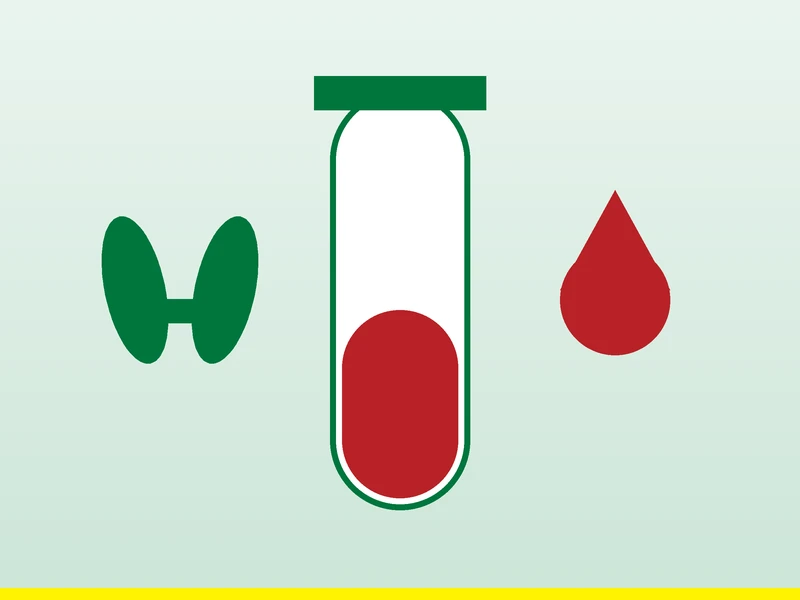 Illustration of a blood test tube and a thyroid gland for a thyroid function test
